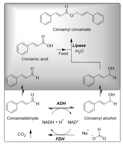 Catalysts Free Full Text A Multi Enzyme Cascade For The Production