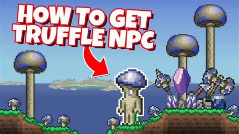 How To Get Truffle Npc In Terraria Youtube