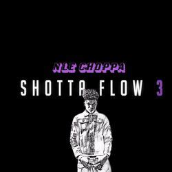 NLE Choppa - Shotta Flow 3 on Vuulm