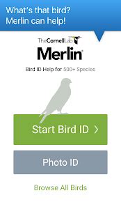 Merlin Bird Id By Cornell Lab Of Ornithology Apps On Google Play