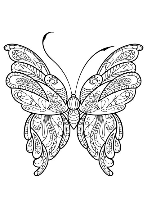 Butterfly beautiful patterns 16 - Butterflies & insects Adult Coloring ...