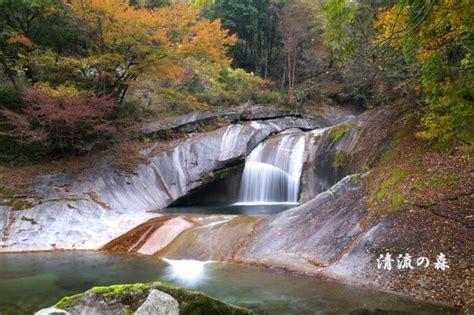 鹿川（ししがわ）渓谷 清流の森 ～九州の滝と風景～