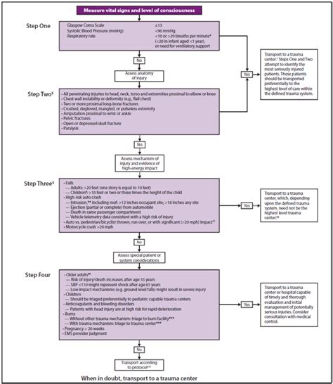 Steps Of Emergency Triage At Stephen Colon Blog