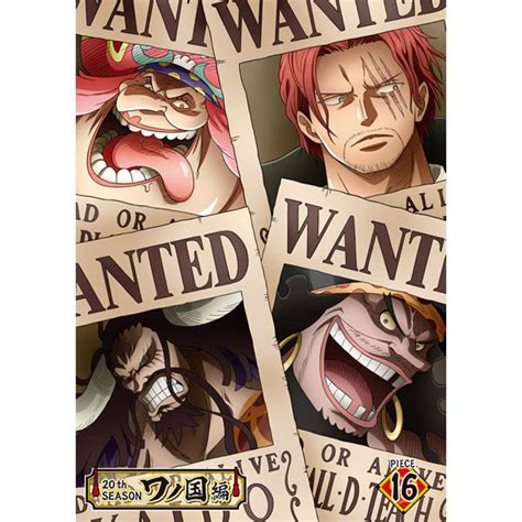 One Piece ワンピース 20thシーズン ワノ国編 Piece16（dvd） Dvd｜東映アニメーションオフィシャルストア