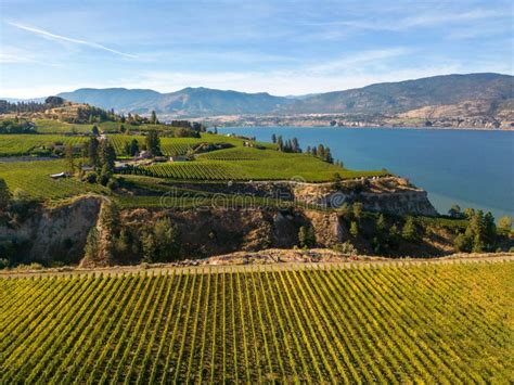 Naramata Bench Winery Vineyard Penticton Okanagan Valley Stock Photo