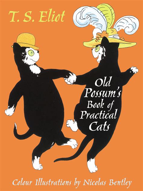 Old Possum S Book Of Practical Cats T S Eliot Illustrated By