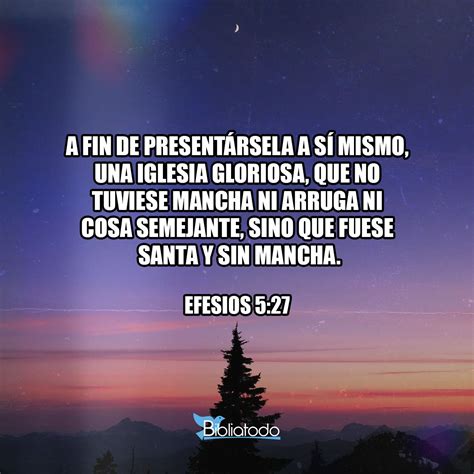 Efesios Lpd Porque Quiso Para S Una Iglesia Resplandeciente