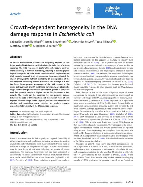 Pdf Growth‐dependent Heterogeneity In The Dna Damage Response In