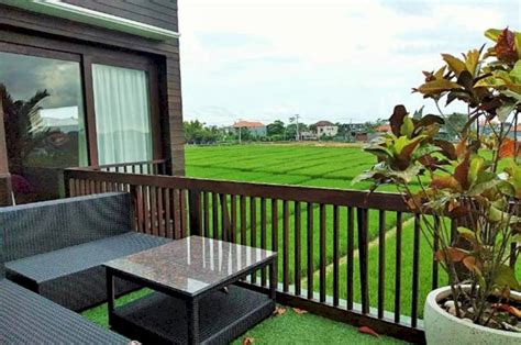 Desain Rumah Pinggir Sawah Yang Sejuk