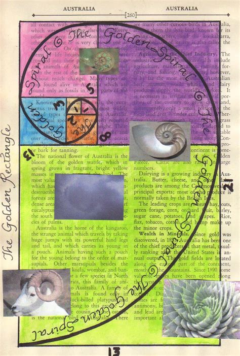 Created 2B Creative: Fibonacci Art