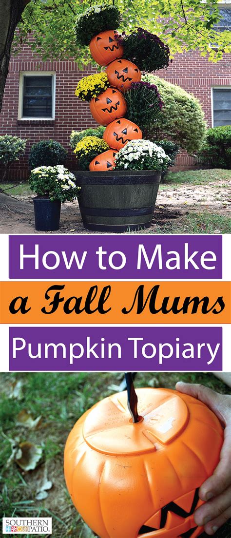 Fall Mums Pumpkin Topiary In Whiskey Barrel Planter Fall Mums