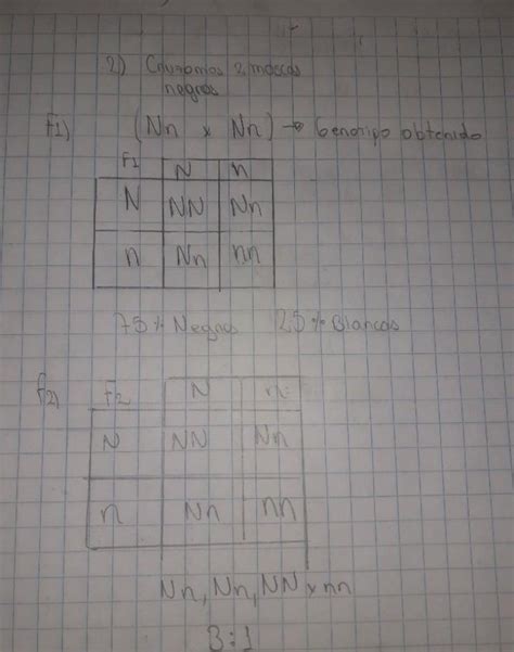 2 Al Cruzar Dos Moscas Negras Se Obtiene Una Descendencia Formada Por