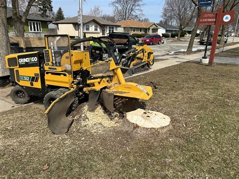 Waukesha Stump Grinding Company Gallery Grindngo Stump