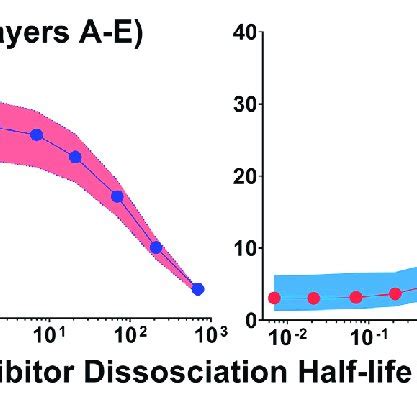 Impact Of Inhibitor Binding Half Life On T Dm Tumor Distribution