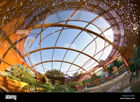 Platypusary Healesville Sanctuary Melbourne Australia Stock Photo