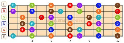 Guitar Fretboard Diagram: (12 & 24 Fret Charts)