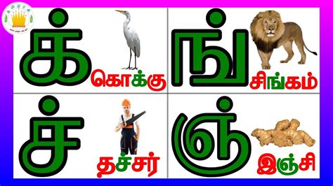 மய எழததககள தமழரச mei eluthukkal in Tamil for kids and