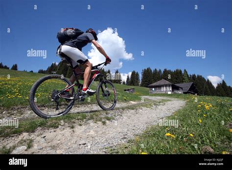 mountain bike race   french alps france stock photo alamy