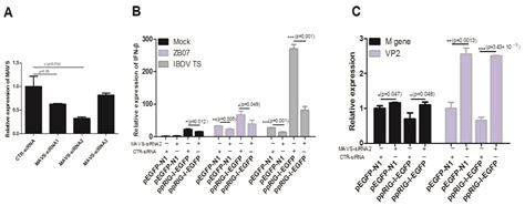 Viruses Free Full Text Pigeon Rig I Function In Innate Immunity