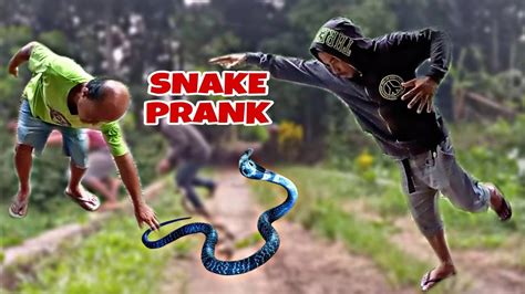 SNAKE PRANK(gone wrong) - YouTube