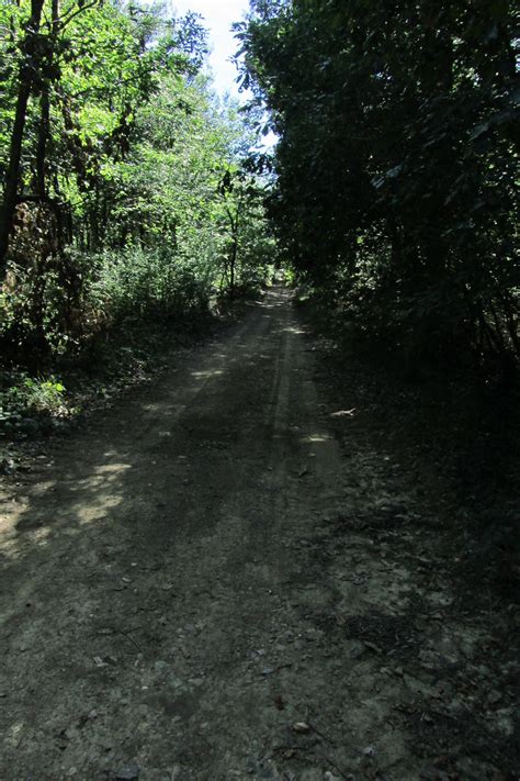 20120920 23 176 Jakobus Wald Weg Bernd Brang Flickr