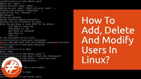 How To Manage Users And Groups In Linux Linux For Beginners