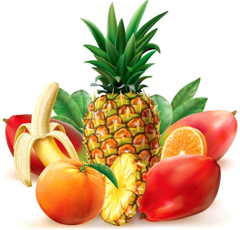 Juicy tropical fruit vector free download