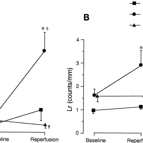 Changes In Adherent Leukocyte Count L A A And Rolling Leukocyte