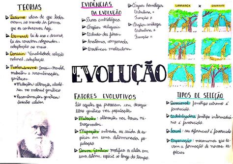 Evolução - Resumo - Mapa mental - Evolução dos seres vivos | Mapa mental darwin e lamarck ...