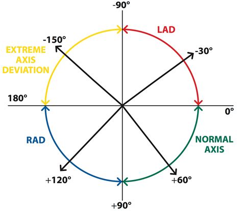 The Basics Of Ecg Interpretation Part 2 Rate Rhythm And Axis