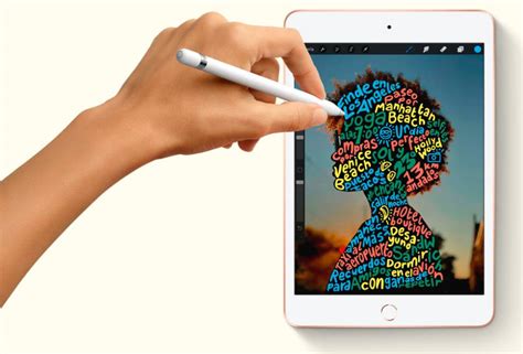 Es Tu Ipad Compatible Con Los Apple Pencil Tablets Cinco D As