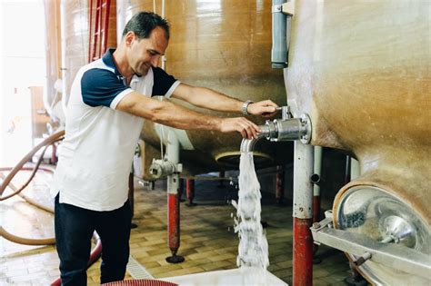 Azienda Casamiglio La Pioppa Cantina Di Produzione Vini