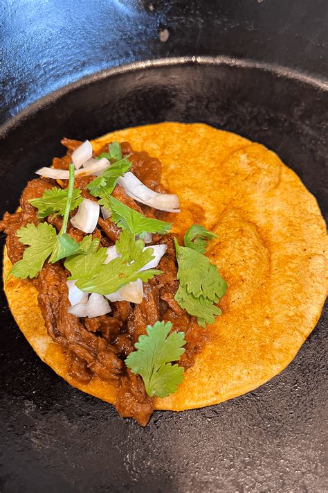 Vegan Birria Tacos Brand New Vegan