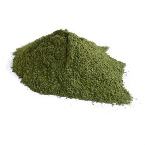 Alfalfa Leaf Powder At Rs Kg Alfalfa Leaf Powder In Lucknow Id