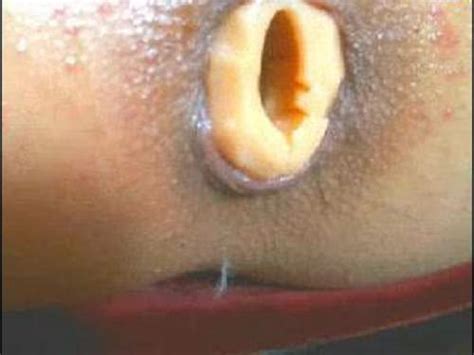 Anal Toys Xxx Potato Cucumber And Dildo Deep Anal Webcam Girl