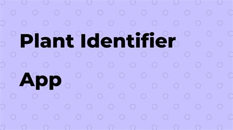 Plant Identifier: Best tips and How To for Android and iPhone - ForoKD