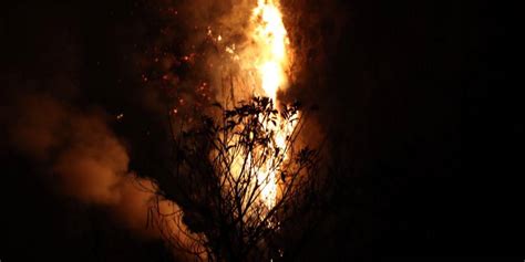 Incendios forestales en Quito Los barrios de Bellavista y González