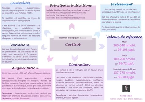 Cortisol Fiches Ide