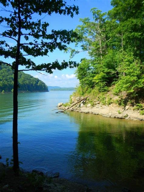 Near Shallow Flats Cave Run Lake Daniel Boone National Forest