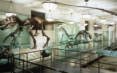 Fossil Halls, American Museum of Natural History - Ralph Appelbaum ...