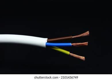 894 Naked Wire Images Stock Photos Vectors Shutterstock