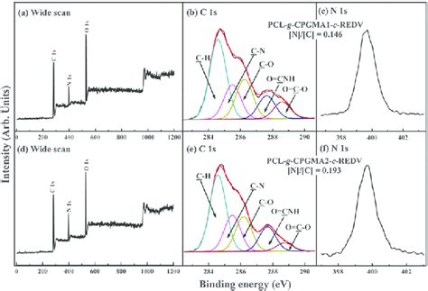 Wide Scan C S And N S Core Level Xps Spectra Of The Ac Pcl G