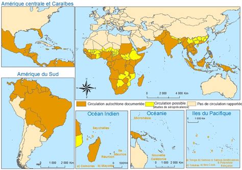 Surveillance Pid Miologique De La Dengue Du Chikungunya Et Du Zika