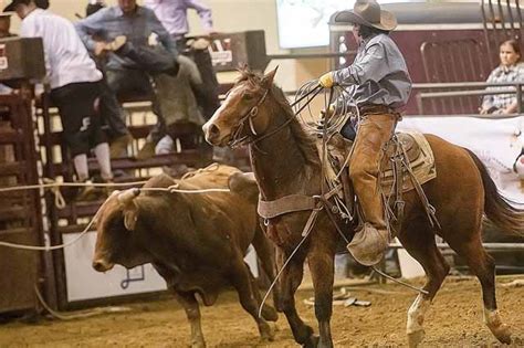 Prescott Rodeo Prescott Local Events