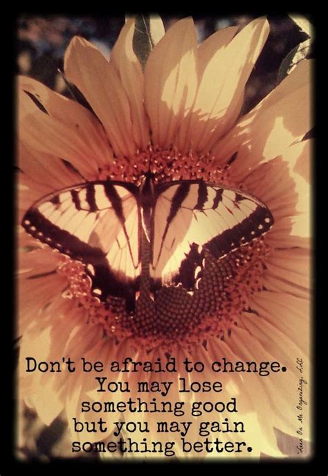 Dont Be Afraid Of Change You Never Know What You Might Discover