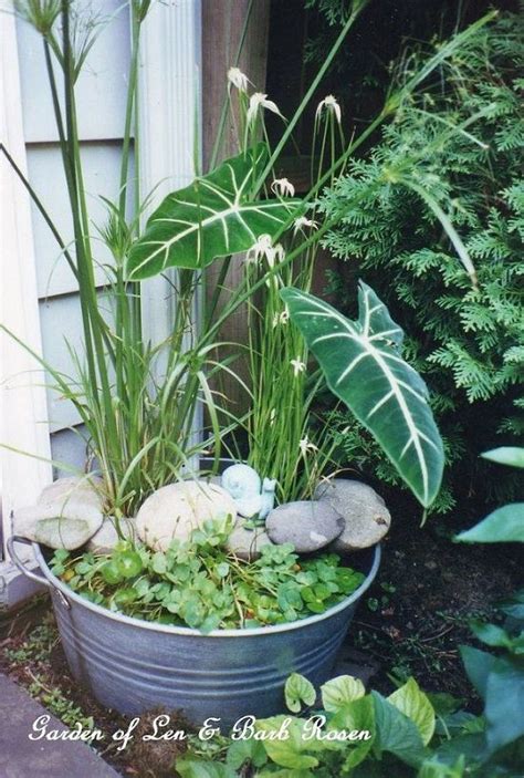 24 DIY Container Water Garden Ideas For Container Gardeners