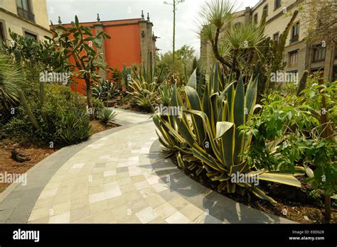 National Palace Botanic Garden Mexico City Mexico Stock Photo Alamy