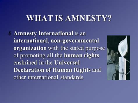 Amnesty Definition