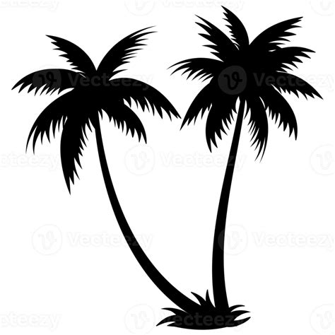 Palm Trees Silhouettes Tropical Summer Palm Tree Icon Png