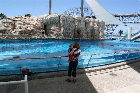 State Aquarium In Corpus Christi Texas - Aquarium Views